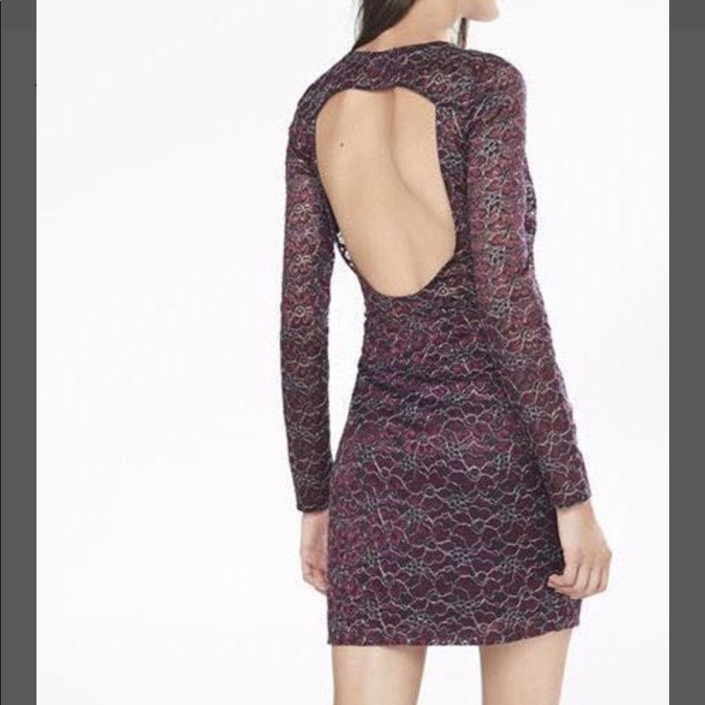 Express Long Sleeve Plum Lace Fitted Dress Holiday Shimmer NYE